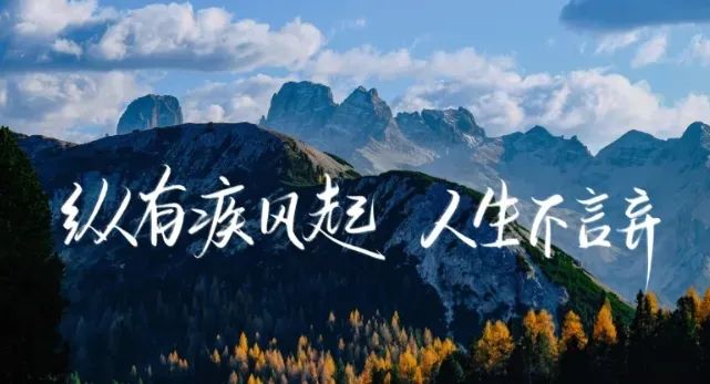 句句开悟,都是精华 句句开悟,都是精华