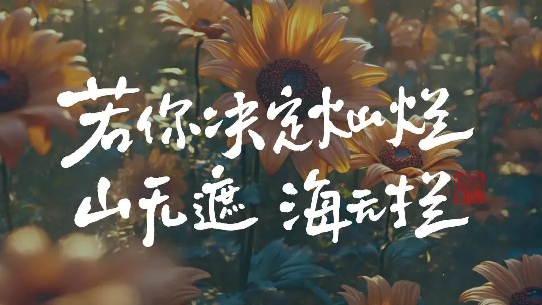 适合发朋友圈的文案 适合发朋友圈的文案