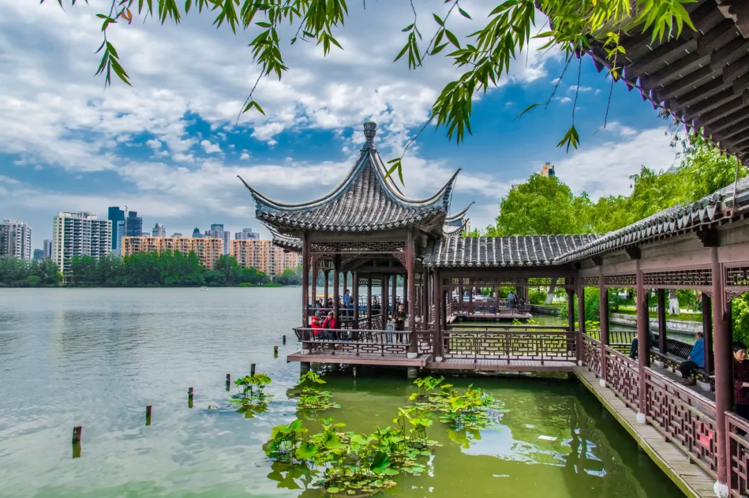 南京地铁沿线的免费宝藏公园-武穆逸仙