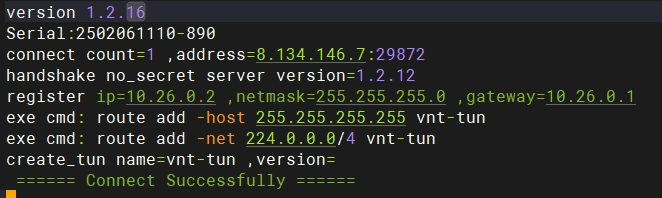 Nas 部署一个强大的内网穿透和组网工具 - vnt